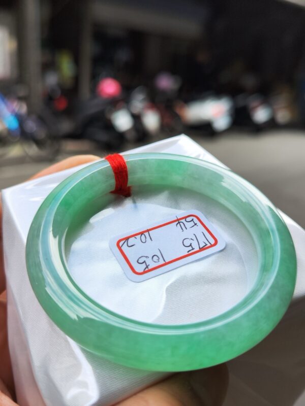 冰種芙蓉飄陽綠正圈圓骨手鐲