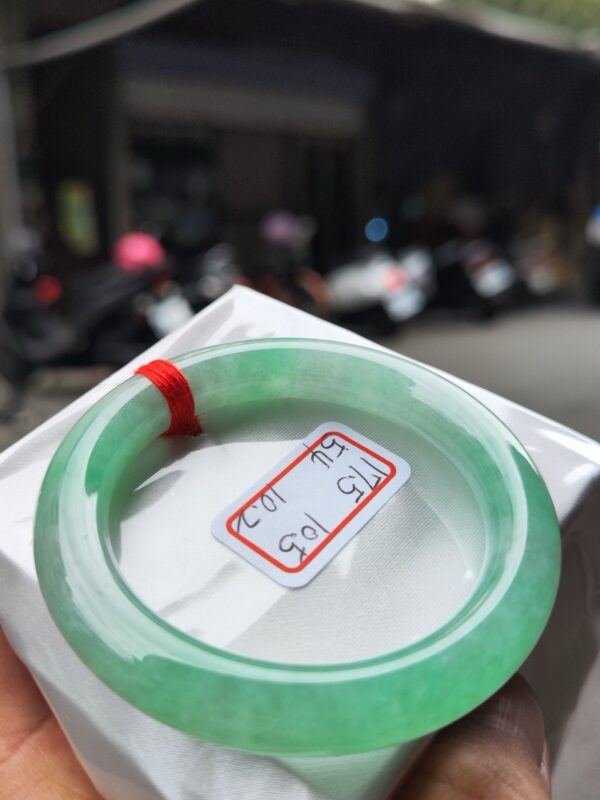 冰種芙蓉飄陽綠正圈圓骨手鐲