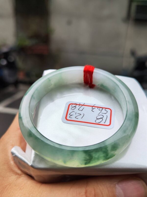 頂級放光玻璃種飄花正圈手鐲