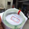 頂級放光玻璃種飄花正圈手鐲