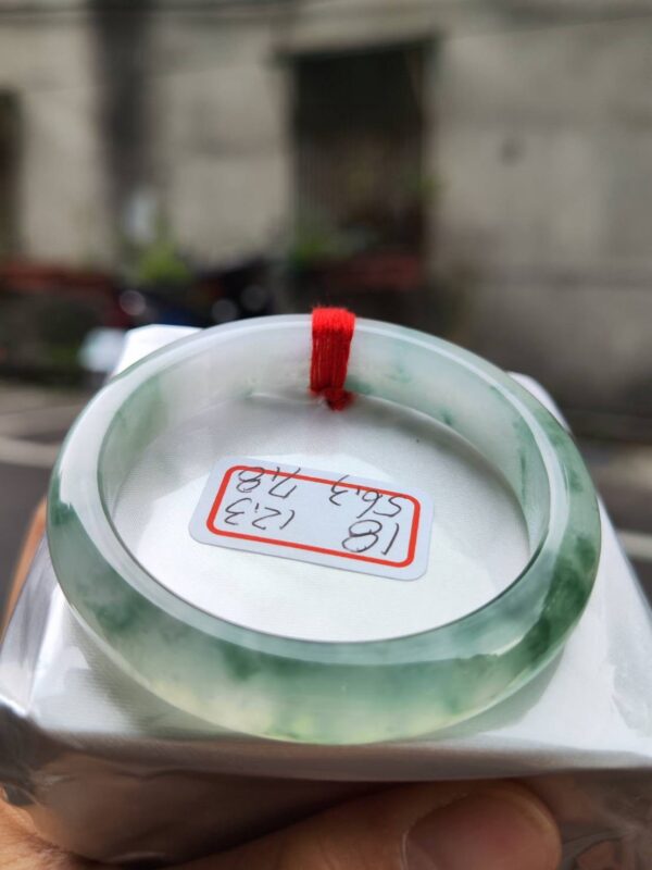 頂級放光玻璃種飄花正圈手鐲