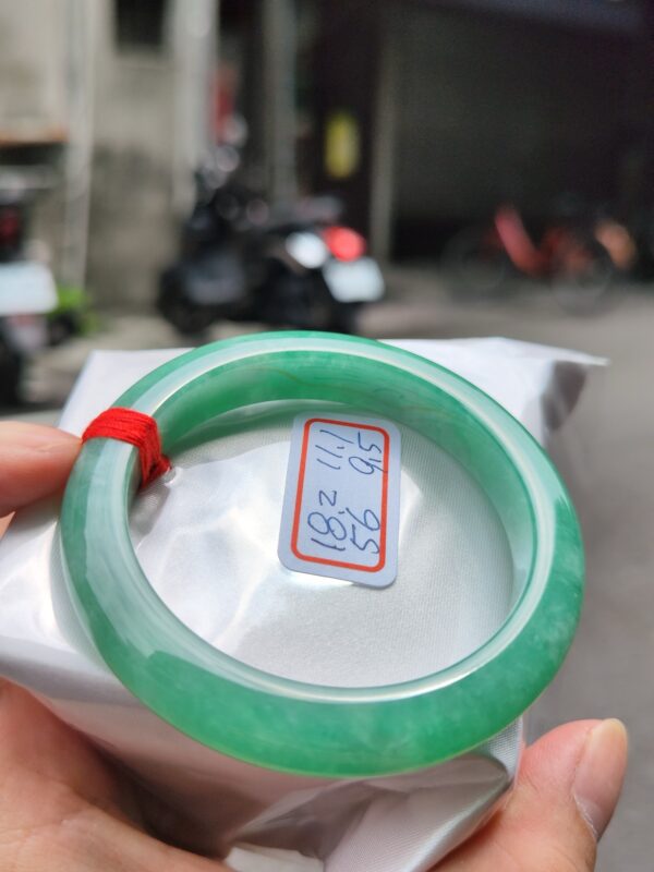 天然緬甸玉A貨 滿陽綠正圈手鐲