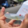 天然緬甸玉A貨 放光玻璃種飄蜜黃正圈手鐲