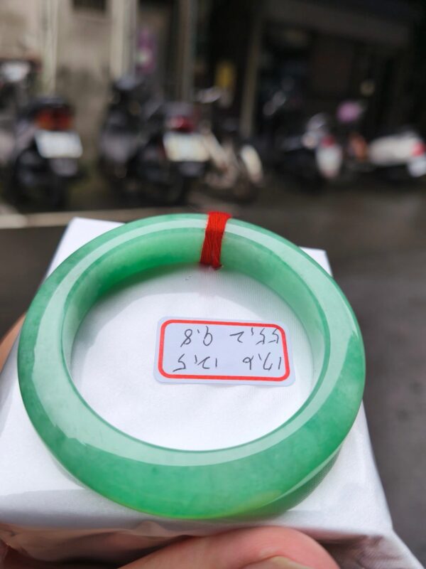 天然緬甸玉A貨｜滿陽綠｜正圈超厚庄手鐲