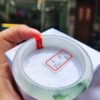 天然緬甸玉A貨 ｜放光玻璃種飄綠花手鐲