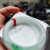 天然緬甸玉 A 貨｜冰種飄陽綠正圈厚庄手鐲