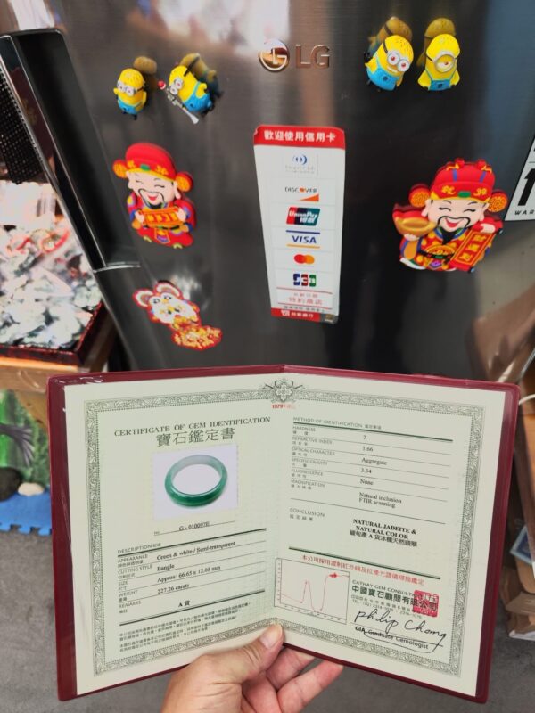 img_0653 天然緬甸玉A貨 冰芙蓉種飄陽綠正圈手鐲