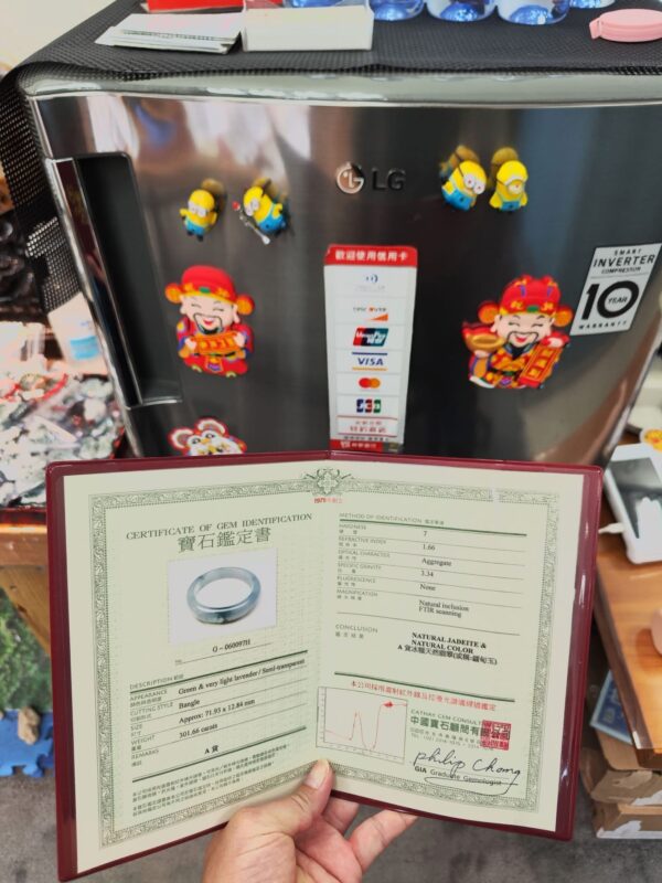 天然緬甸玉A貨 冰芙蓉種飄花正圈手鐲