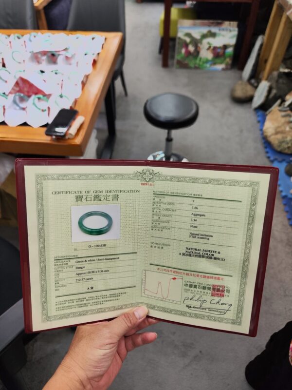 img_2325 ✨ 天然緬甸玉A貨 冰種飄陽綠正圈手鐲 ✨