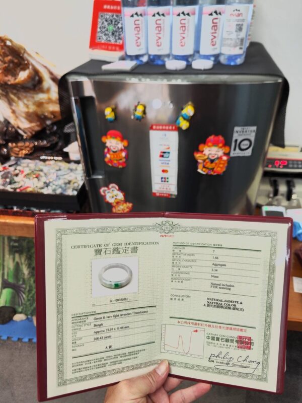 🌸 飄陽綠正圈手鐲  天然緬甸玉A貨 🌸