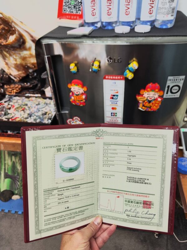 🌸 飄陽綠正圈手鐲 天然緬甸玉A貨 🌸