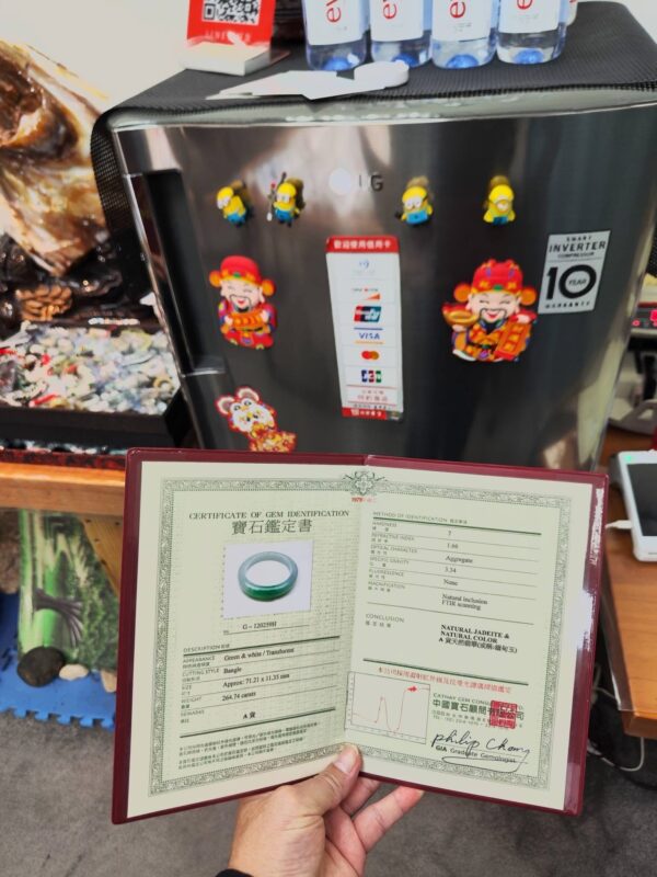 🌸  飄正陽綠正圈手鐲  天然緬甸玉A貨 🌸