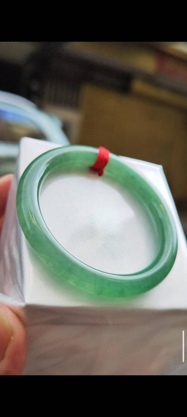 🌸  冰種滿綠正圈圓骨手鐲  天然緬甸玉A貨 🌸