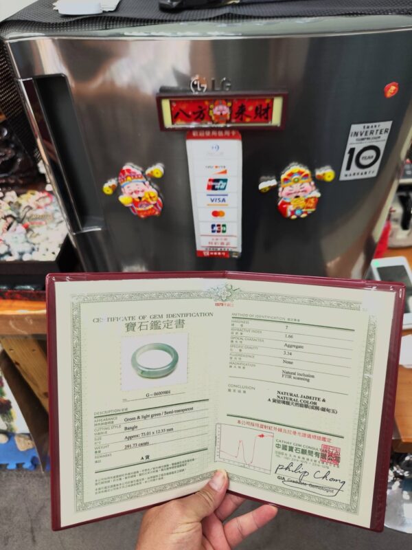 ✨  蘋果綠放光玻璃種 正圈手鐲

💚 天然緬甸玉A貨