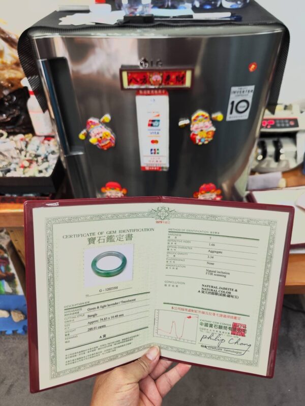 img_7809 ✨ 冰芙蓉種飄陽綠 正圈手鐲
💚 天然緬甸玉A貨