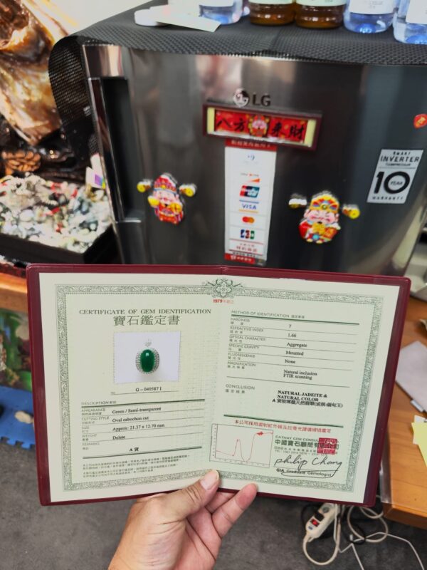 💎 天然緬甸玉A貨玻璃種正陽綠大蛋面