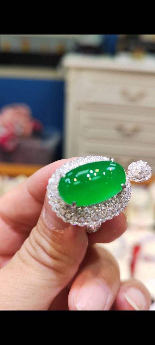 💎 天然緬甸玉A貨玻璃種正陽綠大蛋面
